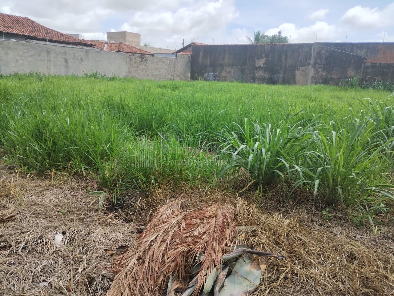 Terreno à venda, ÓTIMA LOCALIZAÇÃO, JARDIM AUTONOMISTA, CAMPO ...