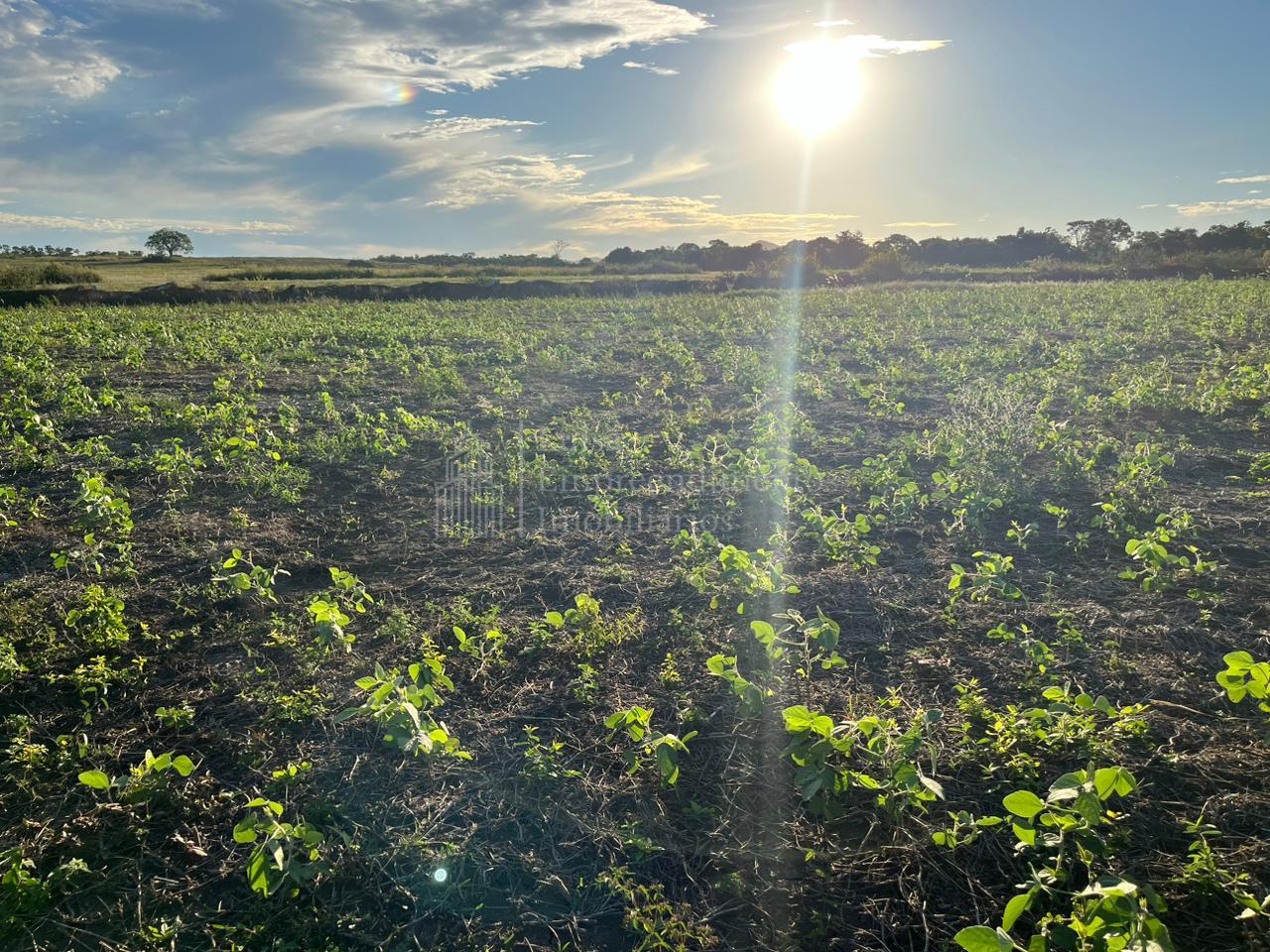 Fazenda à venda em Bodoquena, ZONA RURAL, BODOQUENA - MS