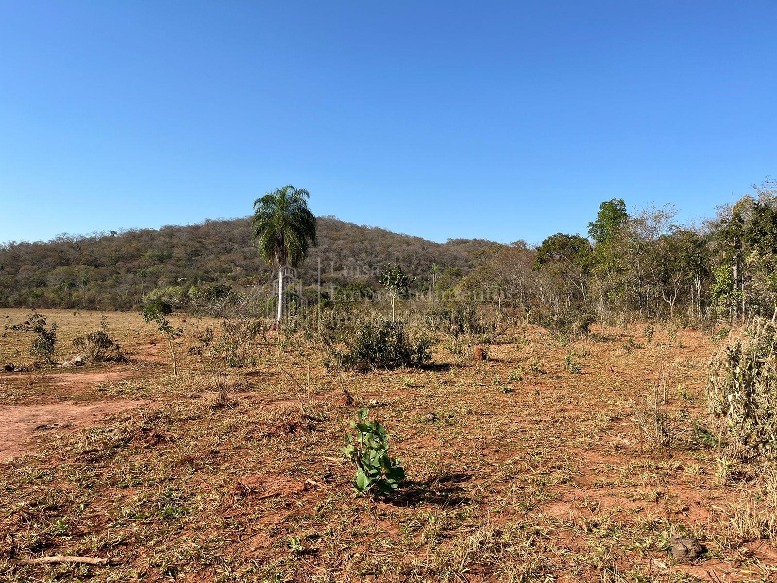 Fazenda à venda, 87 hectares, área próximo a  BONITO - MS