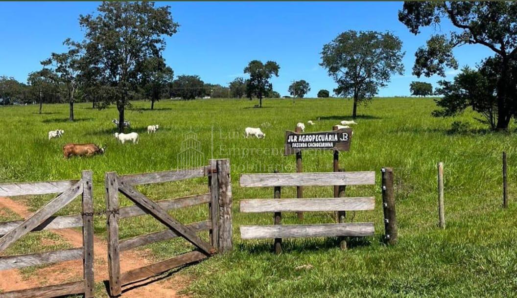 Fazenda à venda, ZONA RURAL, TERENOS - MS