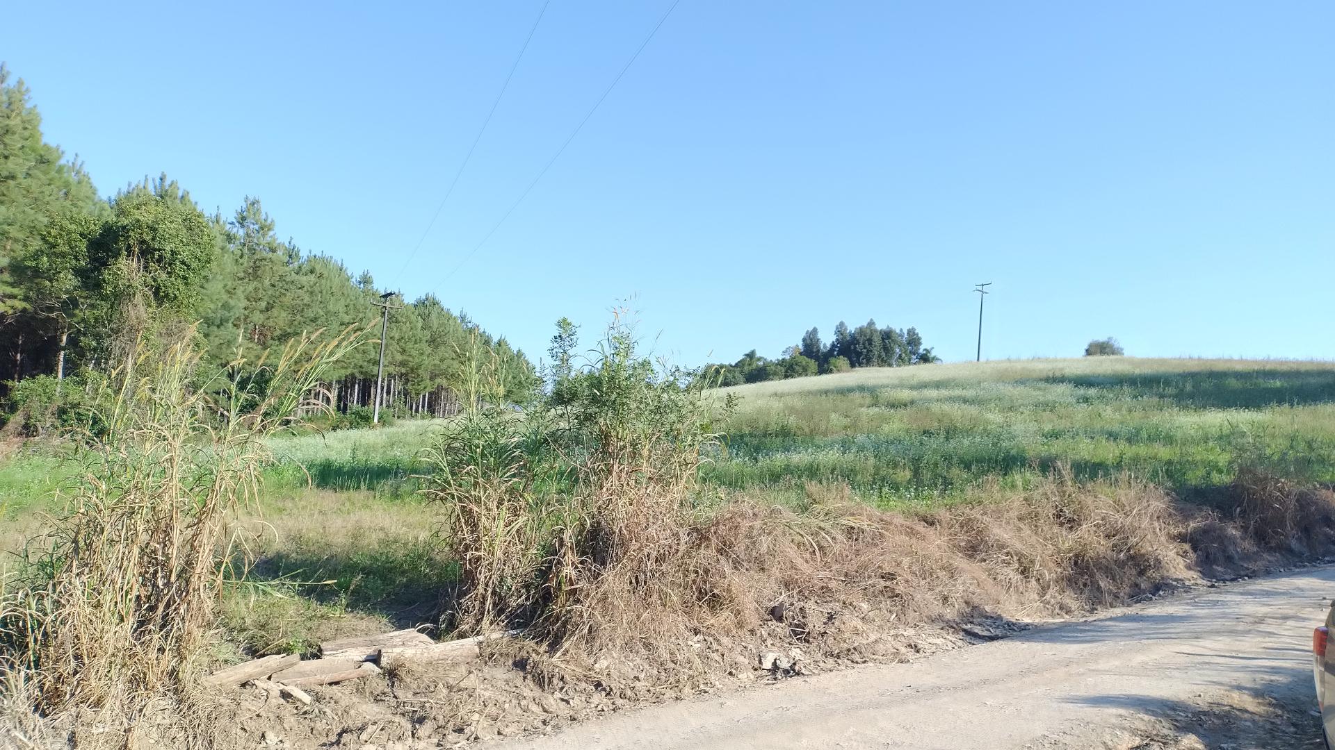 Terreno rural bom pra leiteria ou plantio Prudentópolis - PR