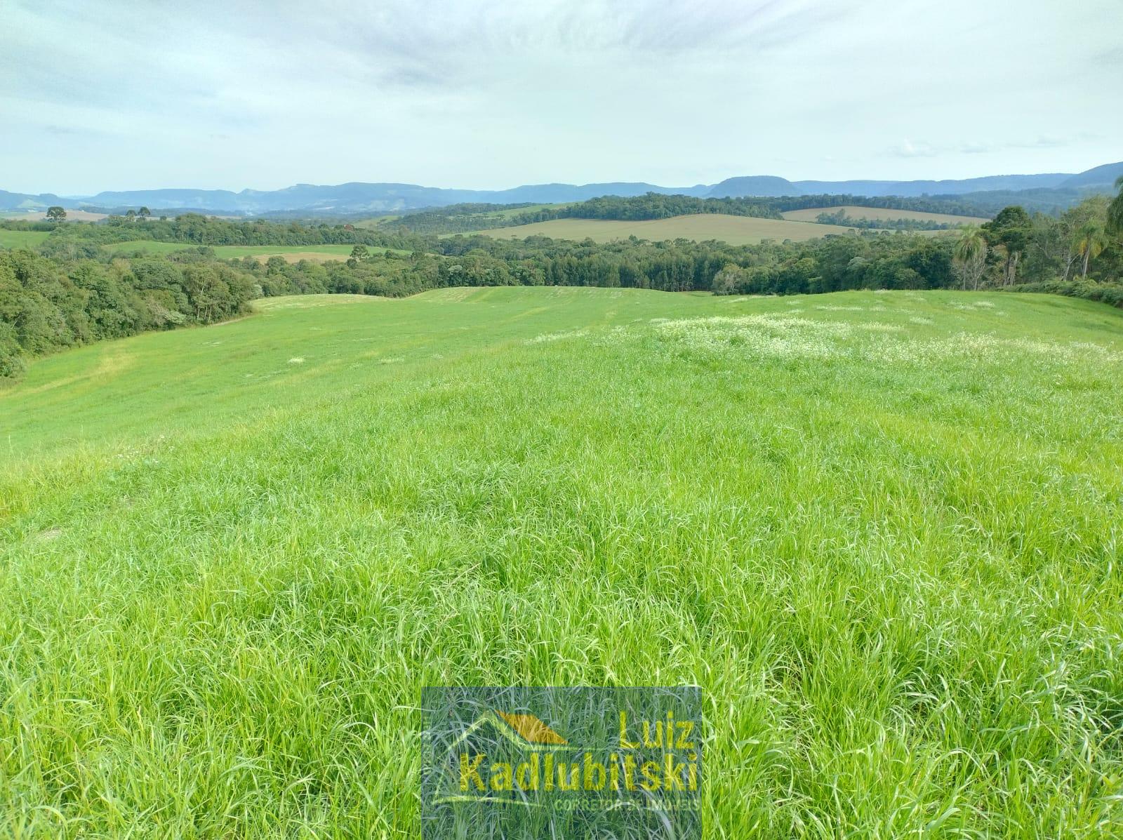 VENDE-SE TERRENO RURAL, LOCALIZADO NA COMUNIDADE DE RIO BONITO, CONTENDO 3 ALQUEIRES. ÓTIMO TERRENO