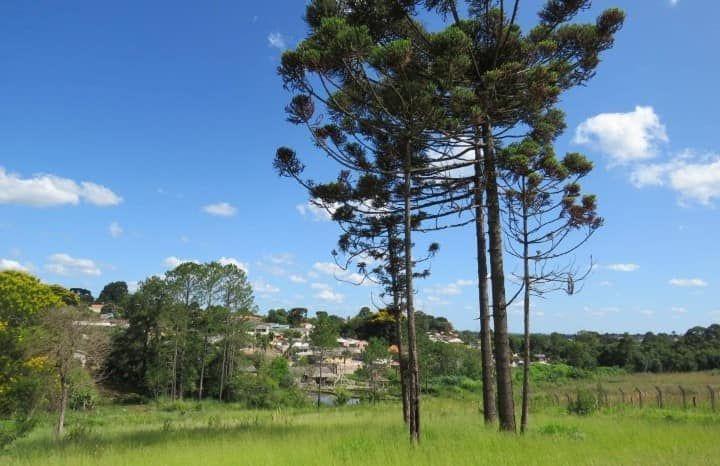Área à Venda em Uvaranas | Ponta Grossa | 12.906 m  ao Lado da...