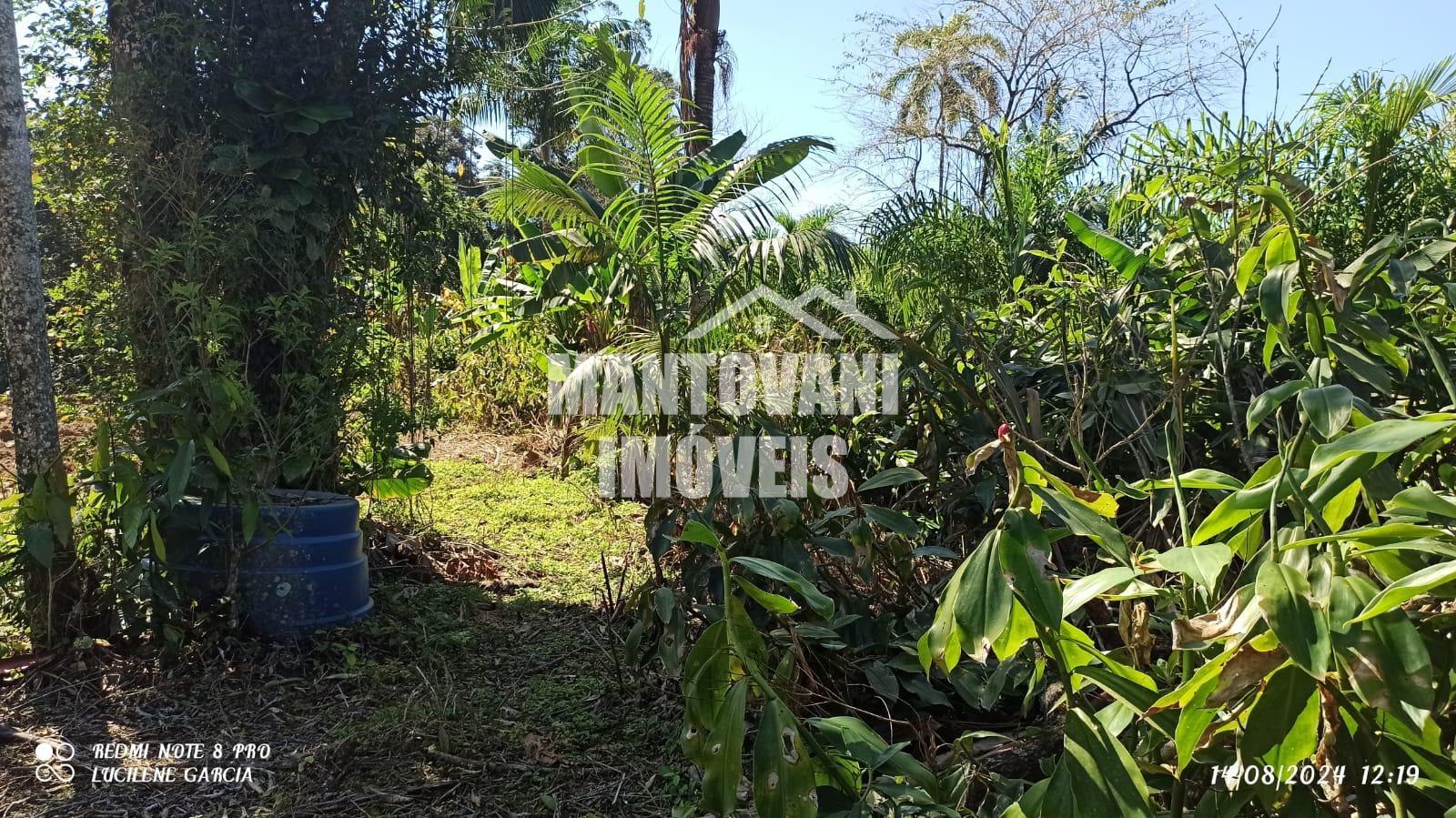 Chácara na praia com 55 hectares, Colônia Pereira, PONTAL DO P...