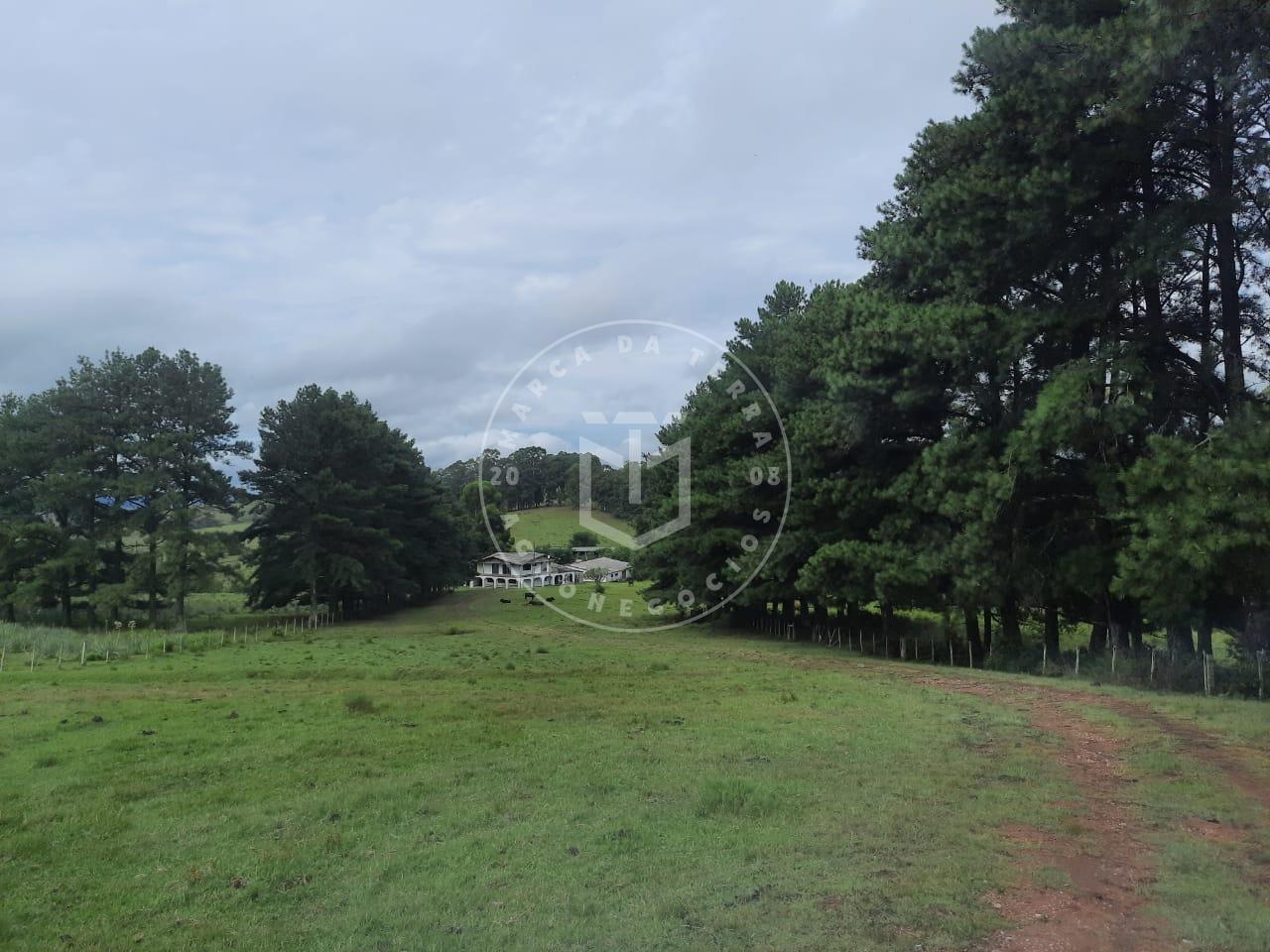 Mais uma excelente fazenda para pecuária, campos finos para cr...