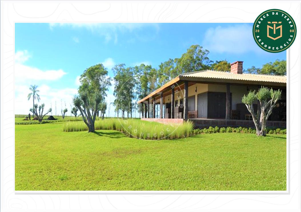 Fazenda Completa de 6050 hectares à venda, Interior, ALEGRETE,...