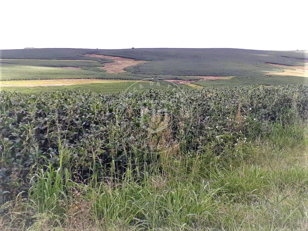 Fazenda 535 hectares localizada a 82 Km, de Santa Maria com 40...