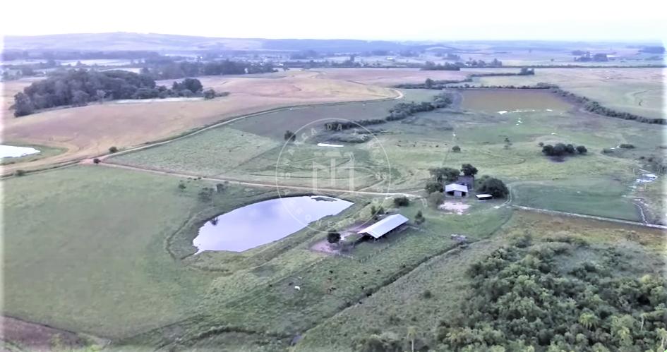 Fazenda à venda de 350 hectares com 295 hectares de aproveitam...