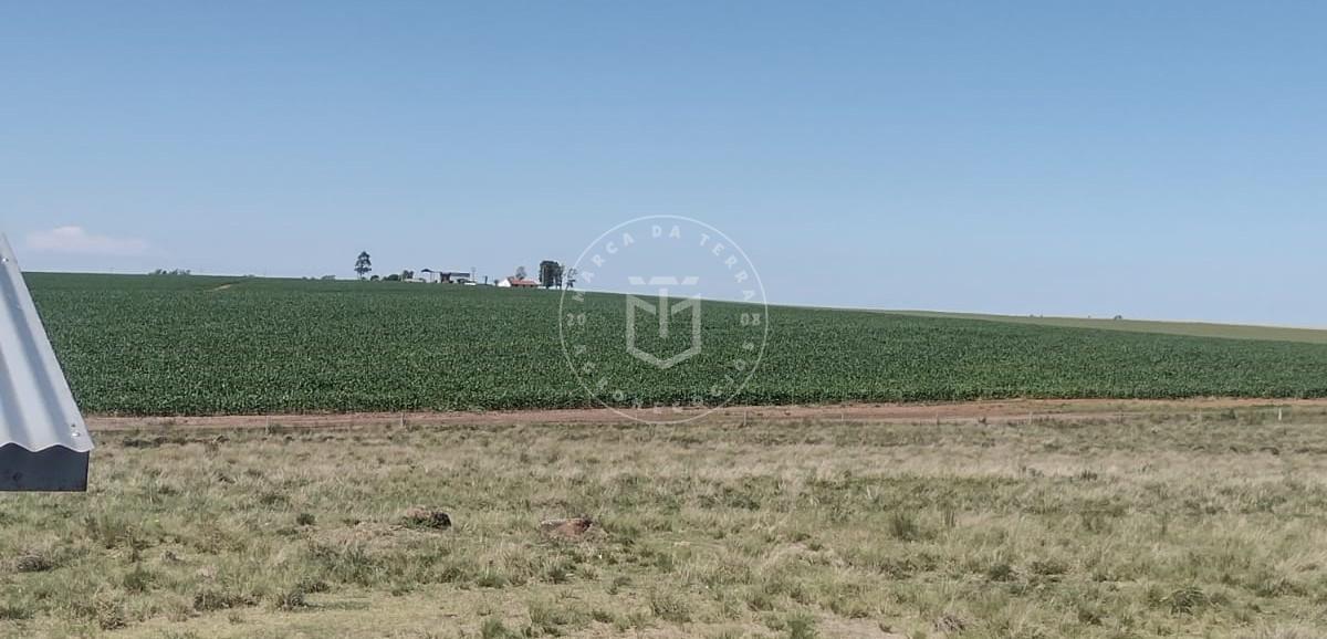 Esta fazenda de 810 hectares em Uruguaiana oferece duas opções...