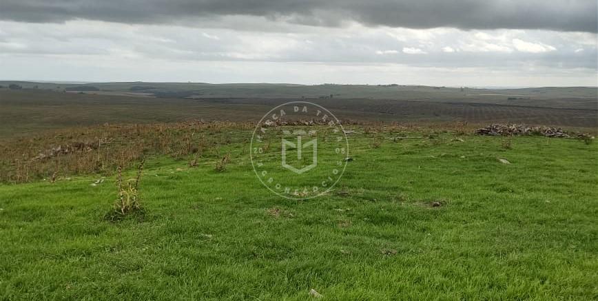 Fazenda com 817 hectares de área, possuindo uma sede antiga,  ...