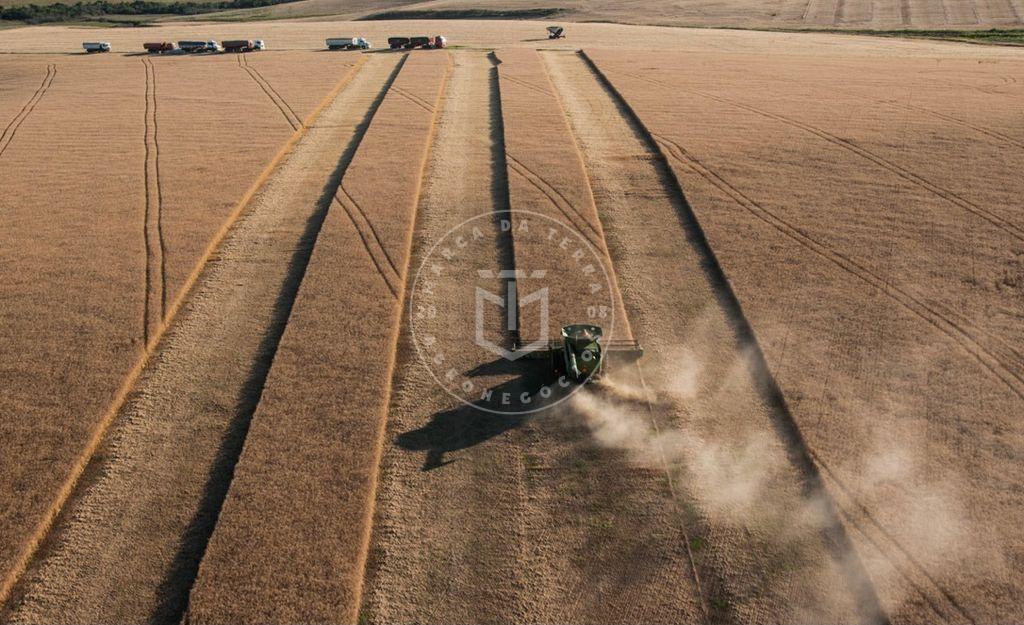 Fazenda de 1900 hectares em Rio Pardo Cachoeira do Sul, a apen...