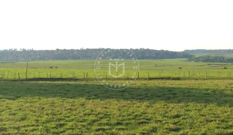 Fazenda 1.995 hectares e duas sedes completas de pecuária em S...