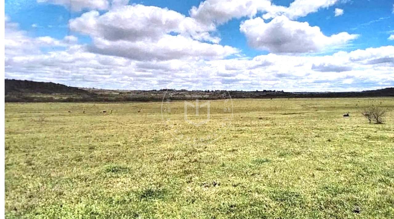 Mais uma Fazenda, de 2000 hectares localizada em Artigas, Urug...