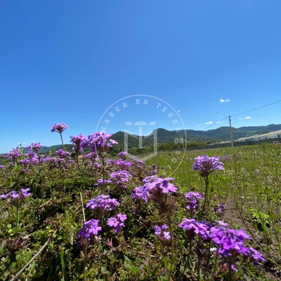 Terreno à venda, São José, SANTA MARIA - RS