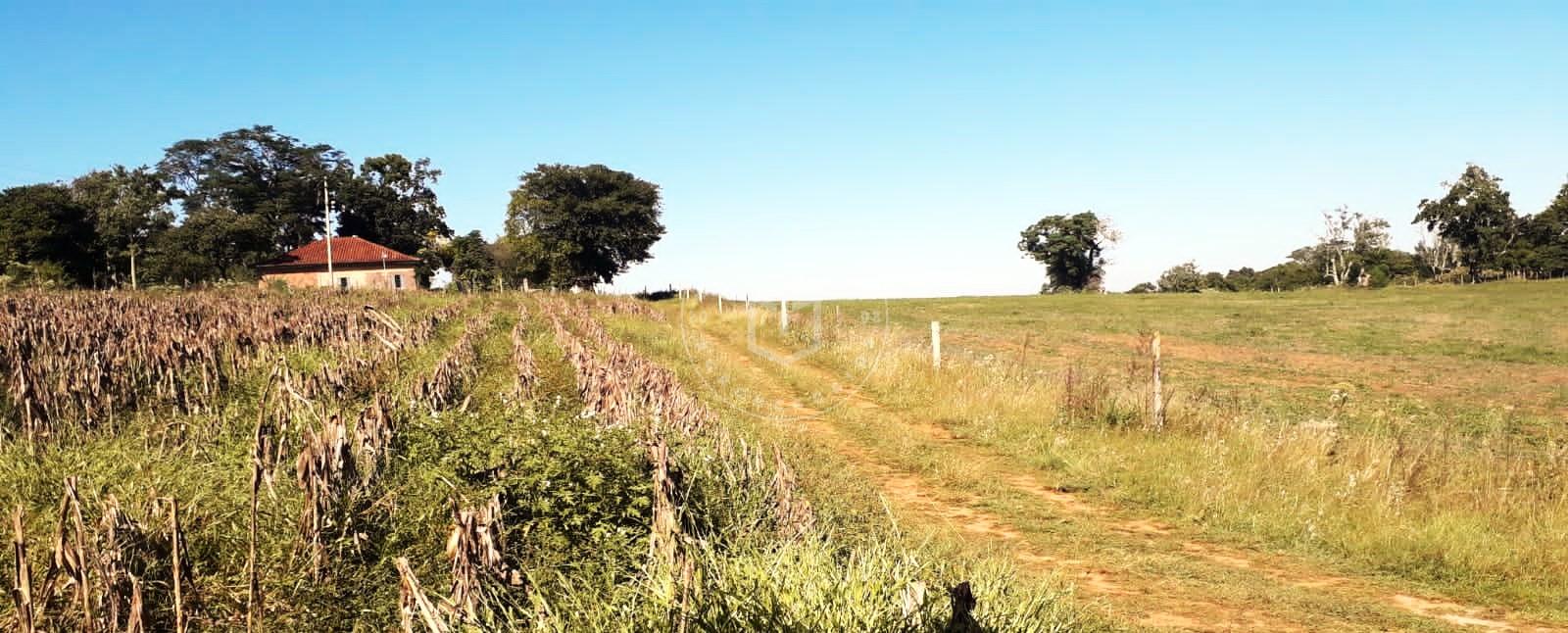 Chácara com 10,5 hectares, com possibilidade de expansão para ...