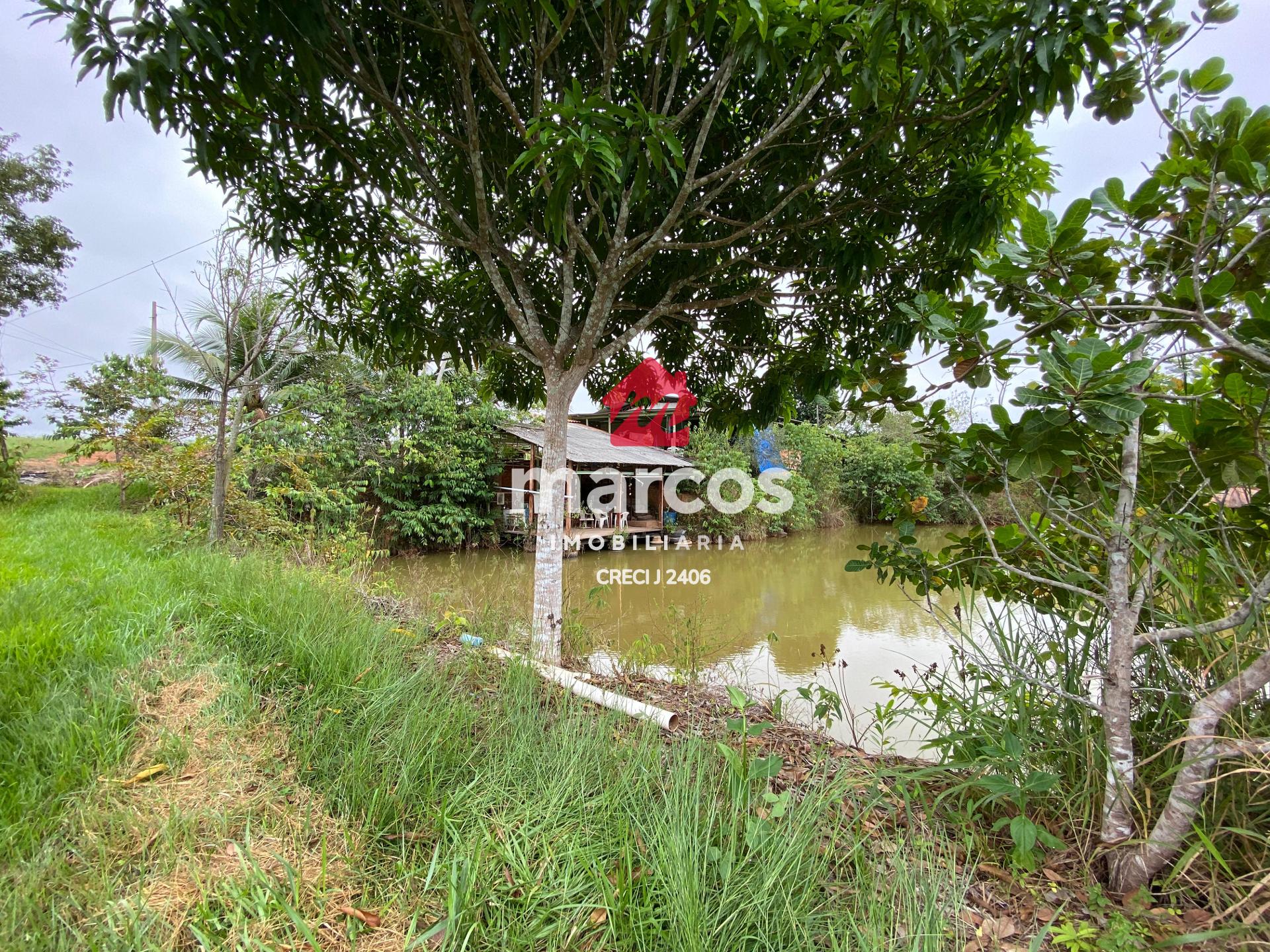 CHÁCARA À VENDA NA LINHA 11, ABUNDANTE EM AGUA, ZONA RURAL DE ...