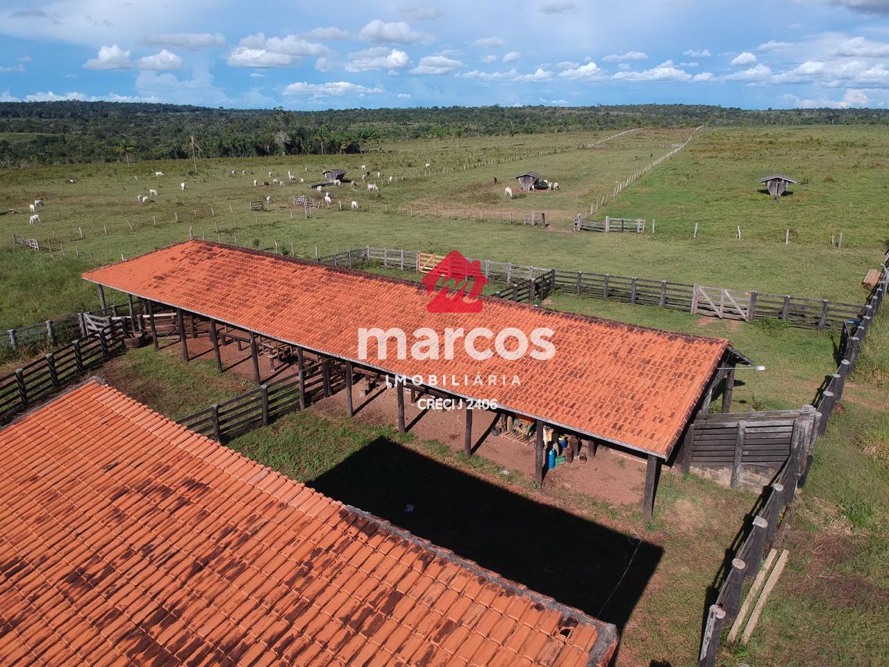 FAZENDA DISPONÍVEL PARA VENDA NA REGIÃO DO MIUNICÍPIO DE PIMEN...