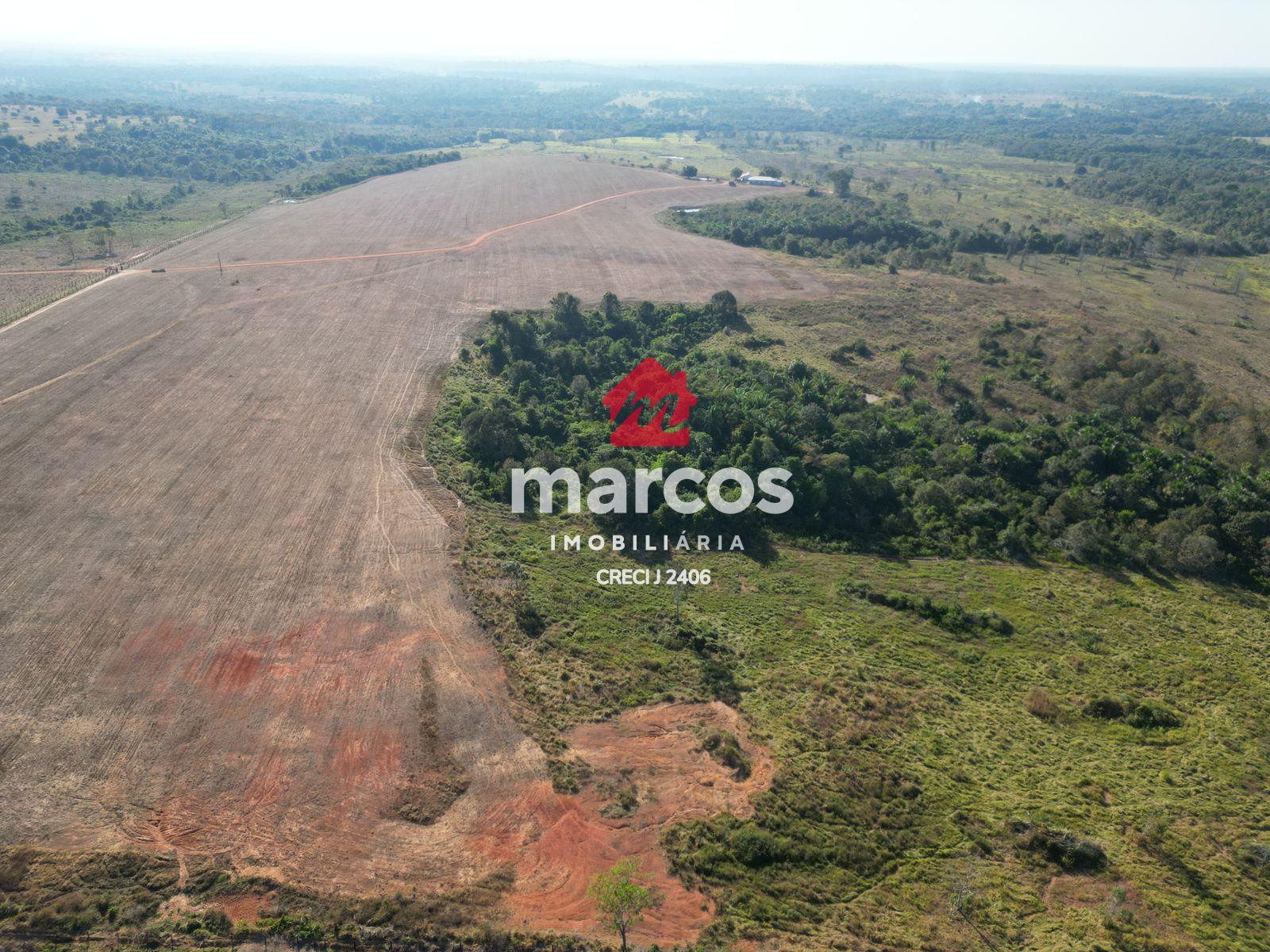 FAZENDA APENAS 8KM DA CIDADE DE PIMENTA BUENO - RONDONIA