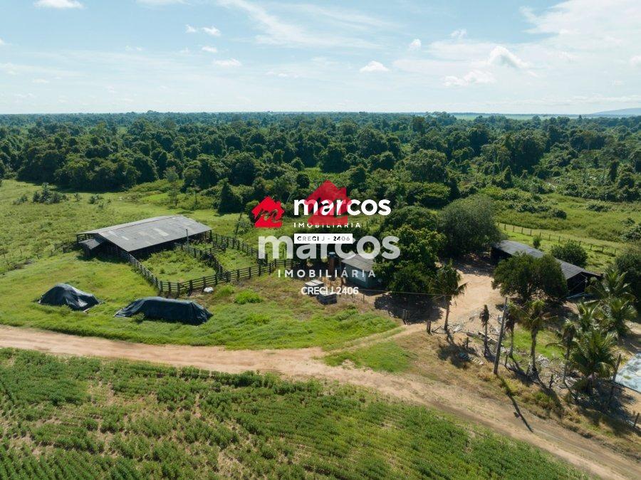 FAZENDA CONE SUL, 246 HECTARES, 189 HECTARES PLANTADOS, 206 HE...