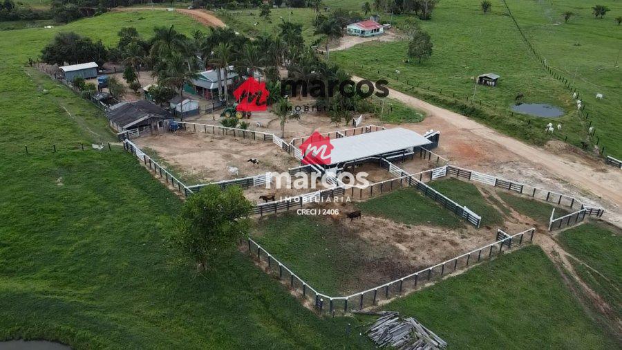 FAZENDA JI-PARANA, 64 ALQUEIRES FORMADOS, 110.000,00 POR ALQUEIRE