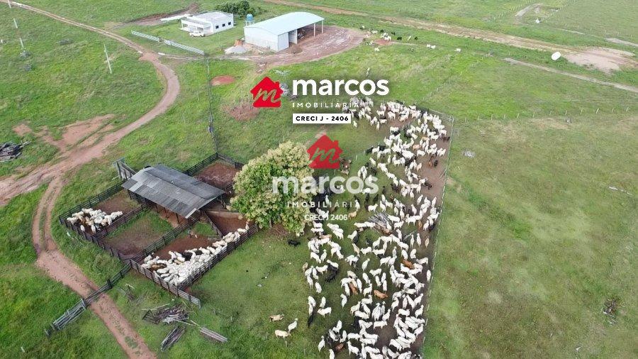 FAZENDA EM PIMENTA BUENO, OTIMA LOCALIZAÇÃO, GRANDE OPORTUNIDADE