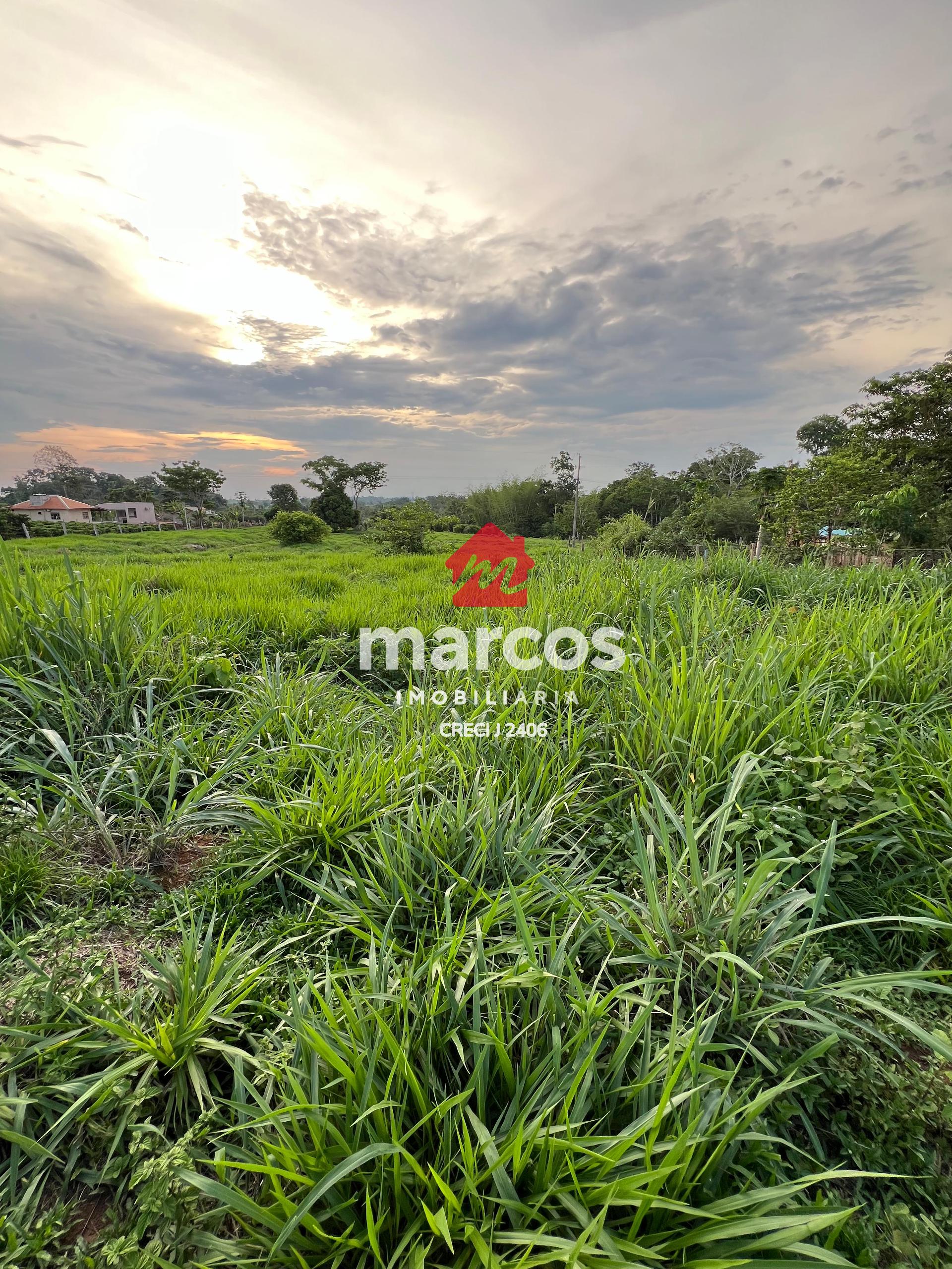 Chácara à venda há apenas 7 km do centro de CACOAL - RO