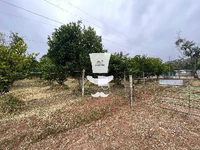 Terreno à venda em Barbacena com 4000m  no Cabeça Branca próxi...