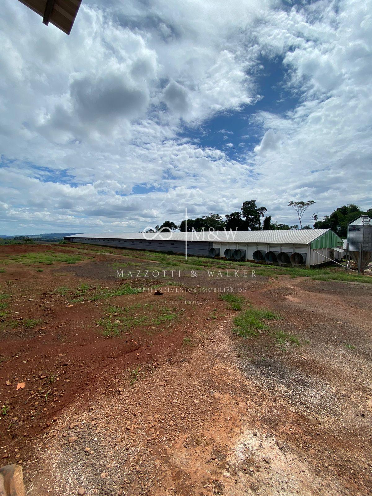 SITIO COM AVIARIOS, PROXIMO DA CIDADE, CALCAMENTO ATE O MESMO....