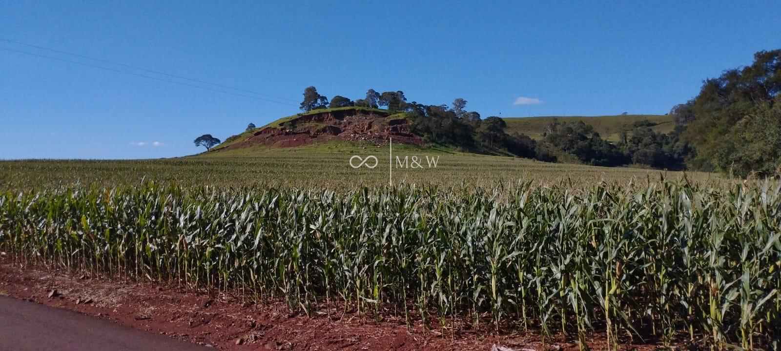 Sítio semi-plano à venda, LINHA MARQUESITA, MEDIANEIRA - PR