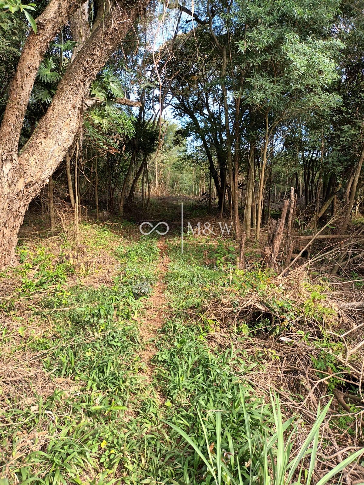 CHACARA DE 28.000M2, PROXIMIDADES DA CIDADE, LINHA SAO BRAS, M...