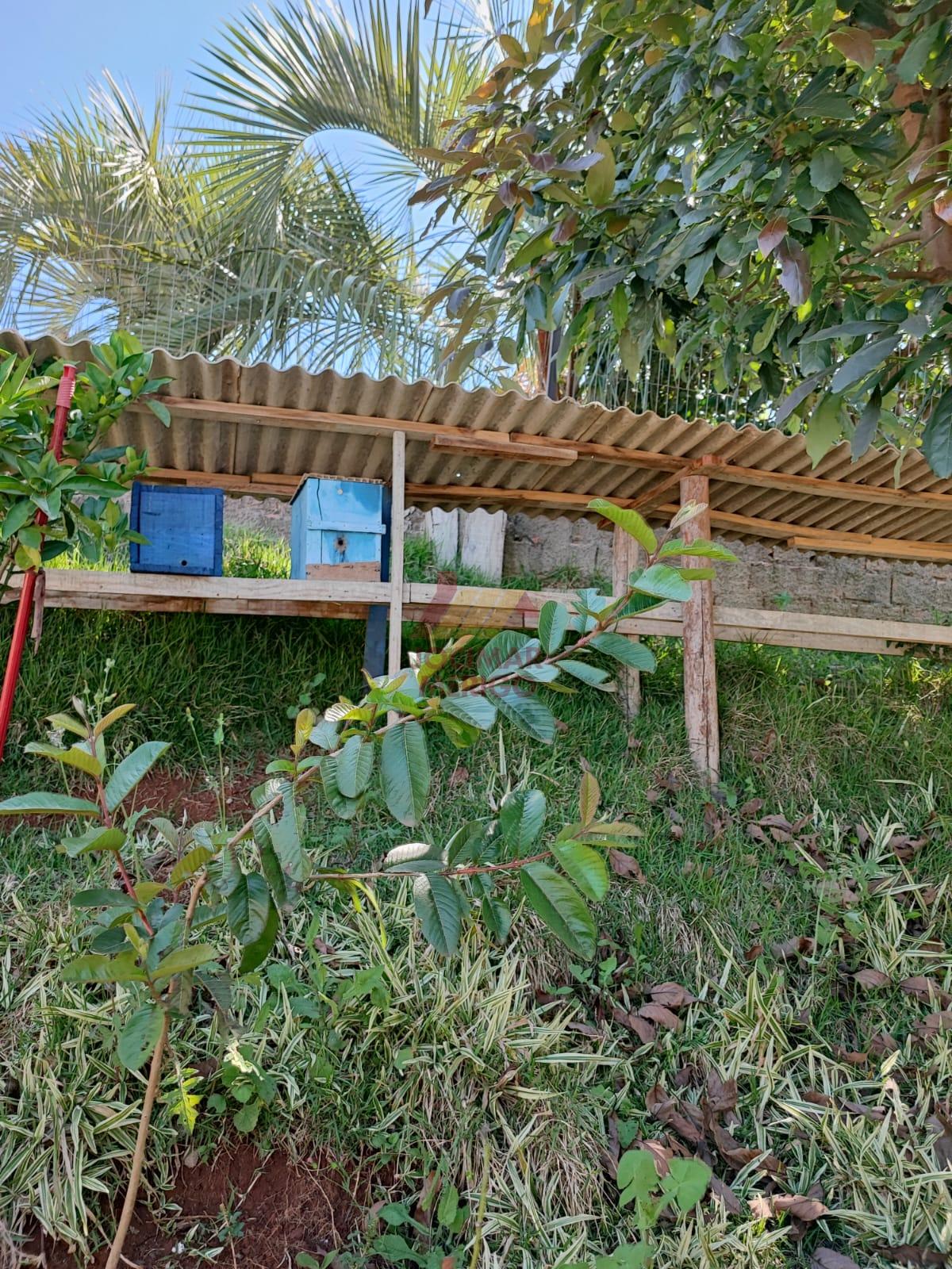 Merigo Corretor de Imveis em So Loureno do Oeste SC