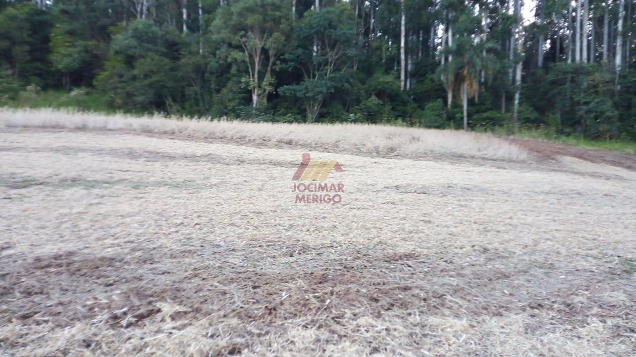 Merigo Corretor de Imveis em So Loureno do Oeste SC