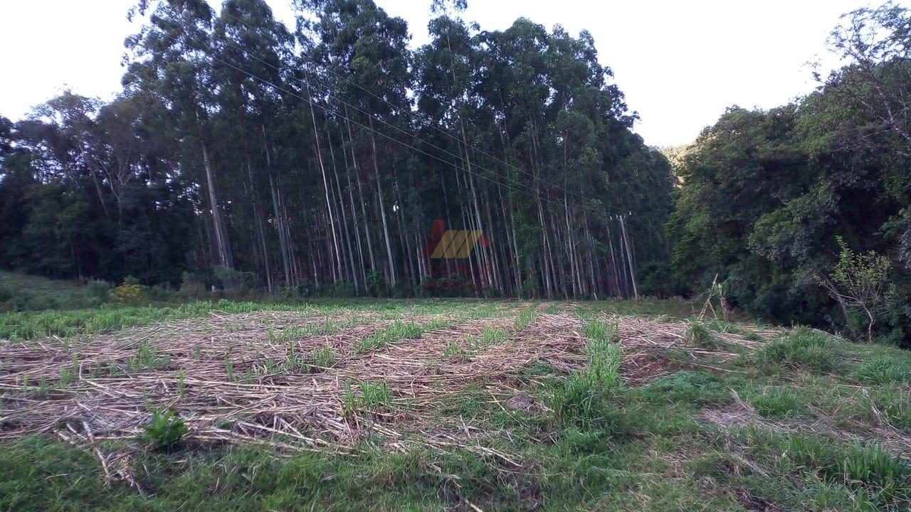 Merigo Corretor de Imveis em So Loureno do Oeste SC