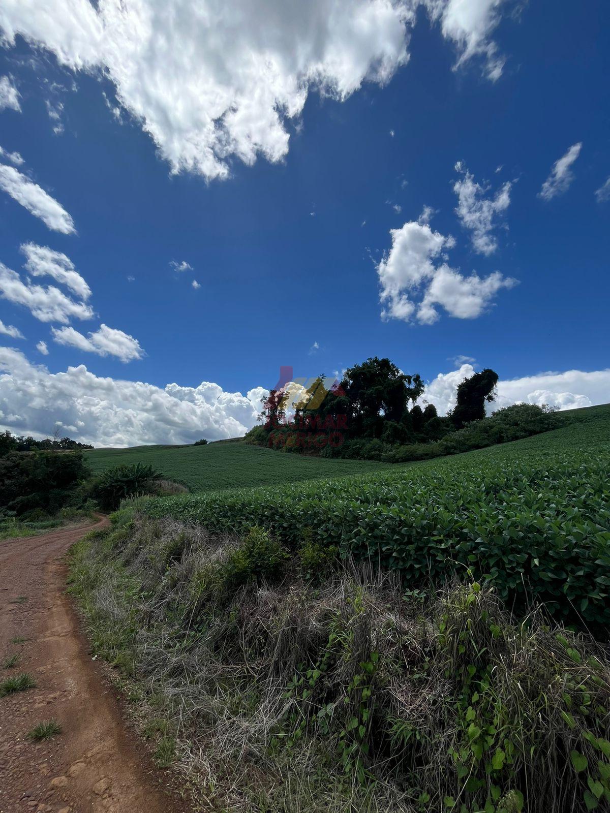 Merigo Corretor de Imveis em So Loureno do Oeste SC