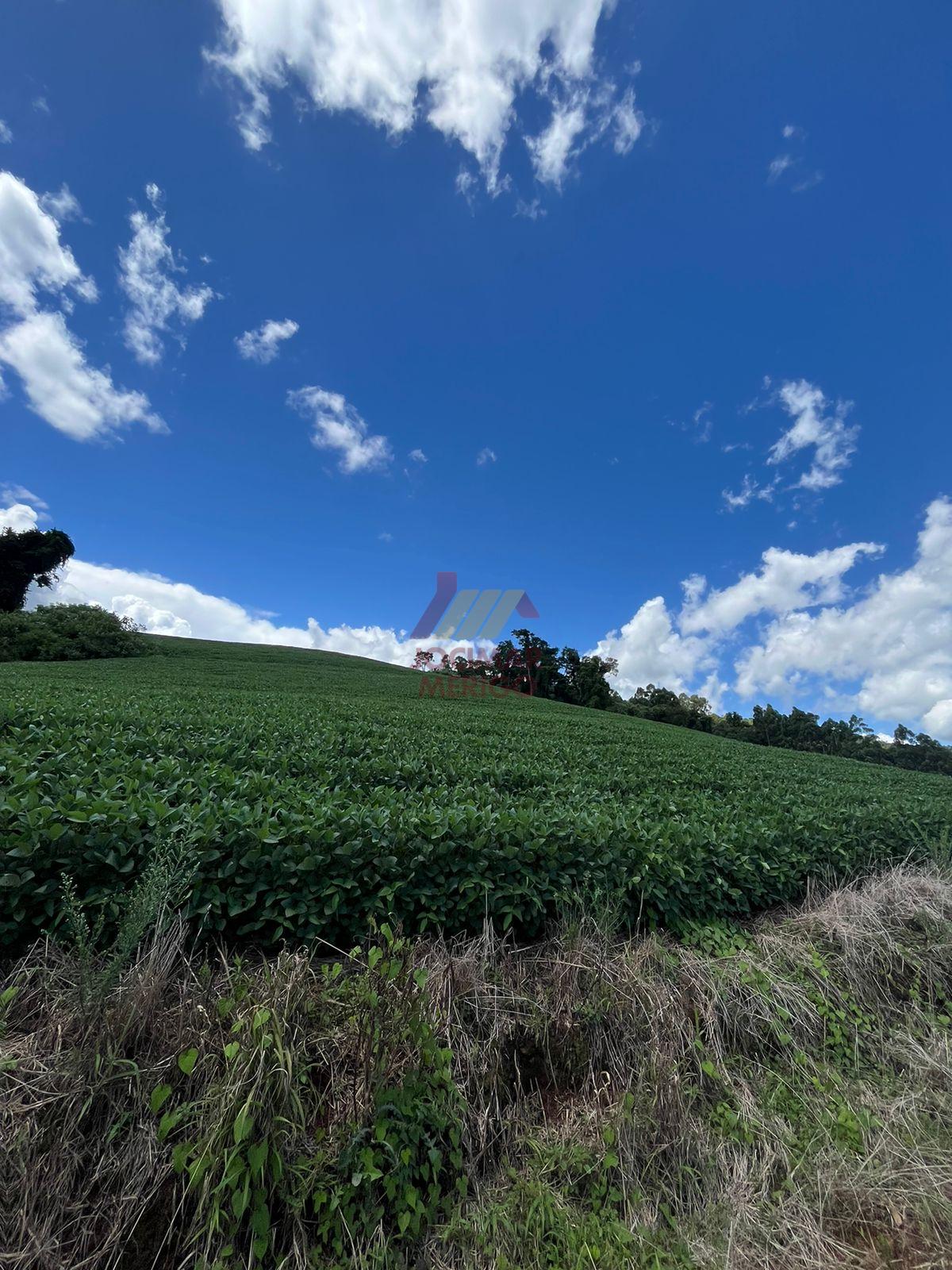 Merigo Corretor de Imveis em So Loureno do Oeste SC
