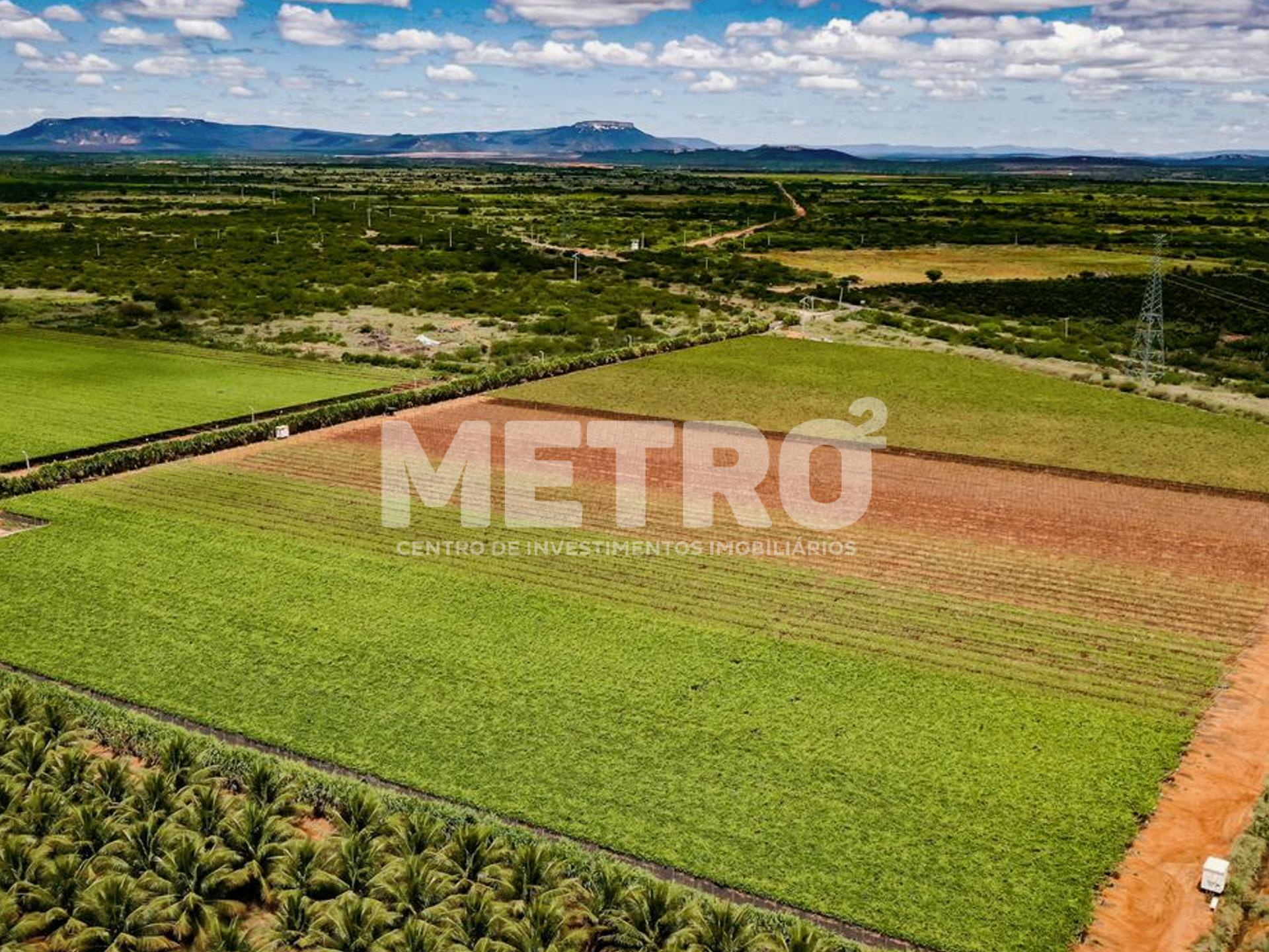 Fazenda de uvas à venda, Rod. do Salitre, JUAZEIRO - BA