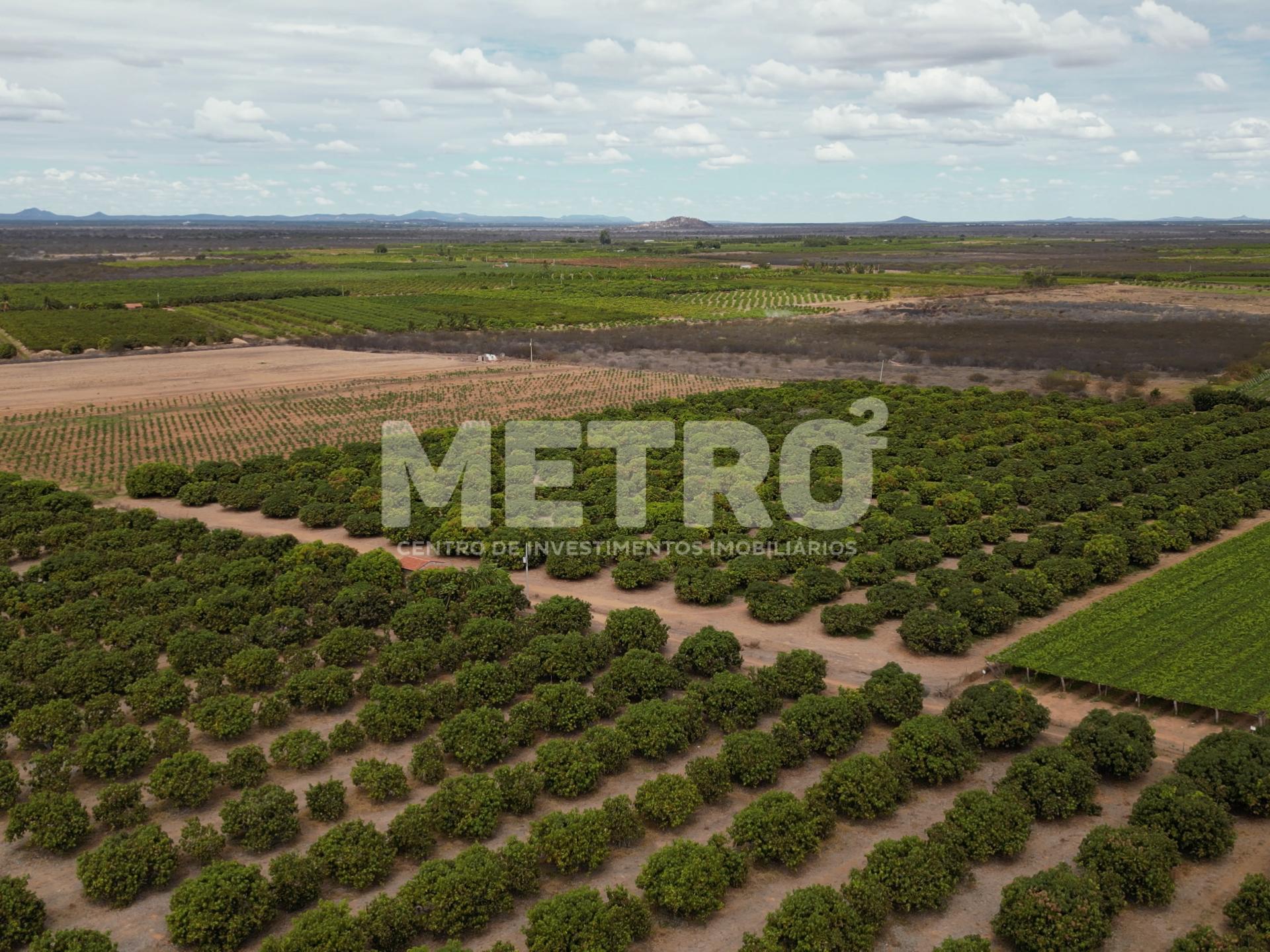 Lote de 15 hectares, escriturado e quitado na CODEVASF, PETROL...