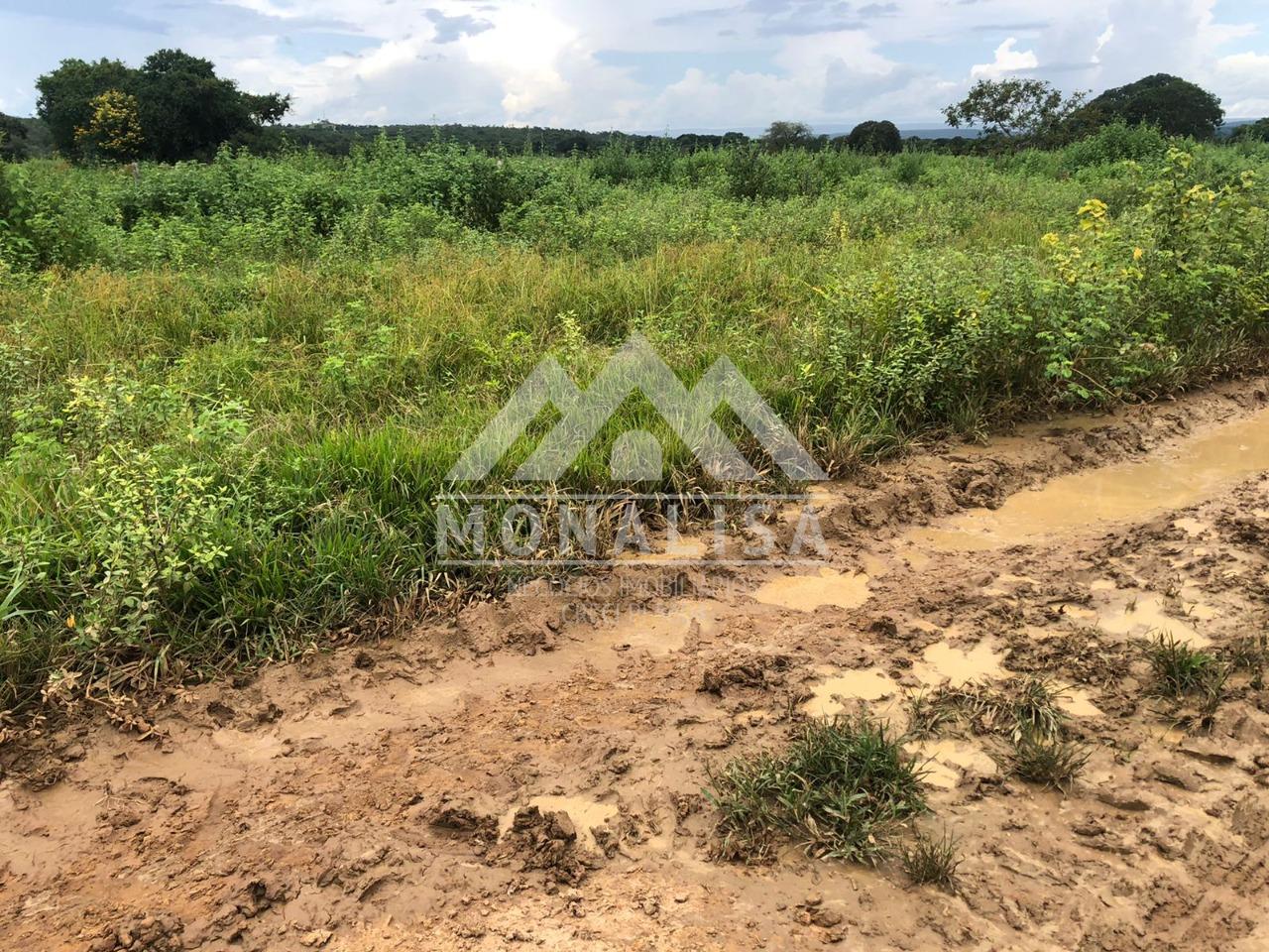 Fazenda de excelente qualidade na Região de Corinto