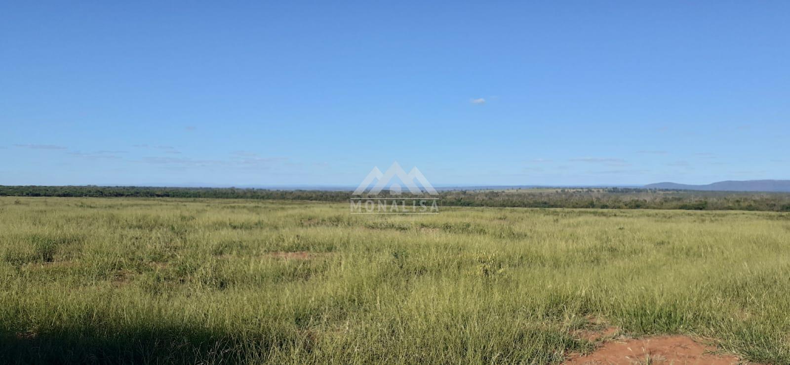 Fazenda à venda, BR135, SAO JOAO DA PONTE - MG