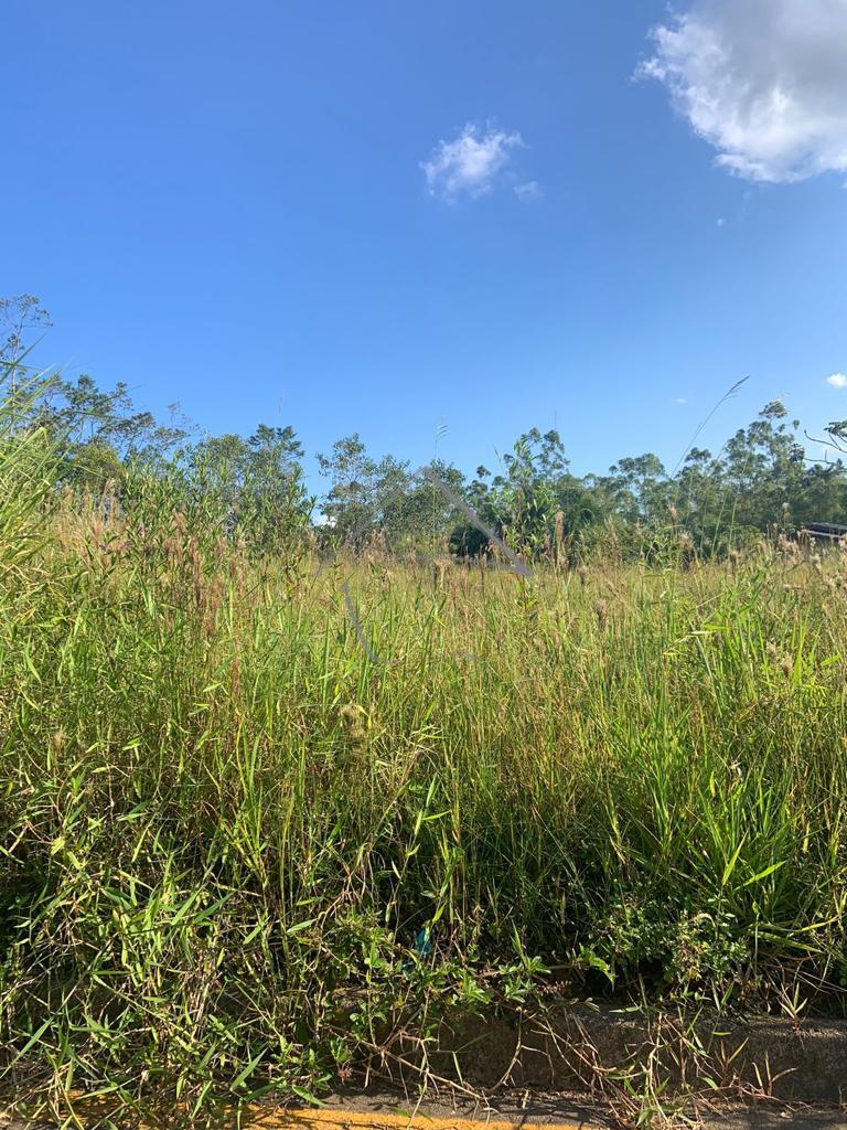 Terreno com 440M² á venda - Três Rios do Norte - Jaraguá do Su...