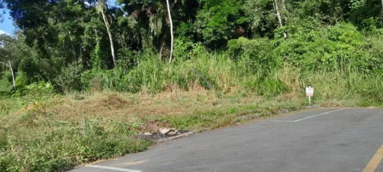 Terreno com 18.200 M  á Venda - Estrada Nova - Jaraguá do sul ...