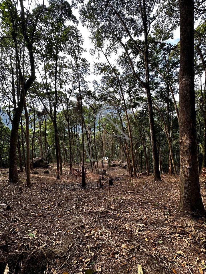 Chácara à venda,157000.00 m , RIO MOLHA, JARAGUA DO SUL - SC