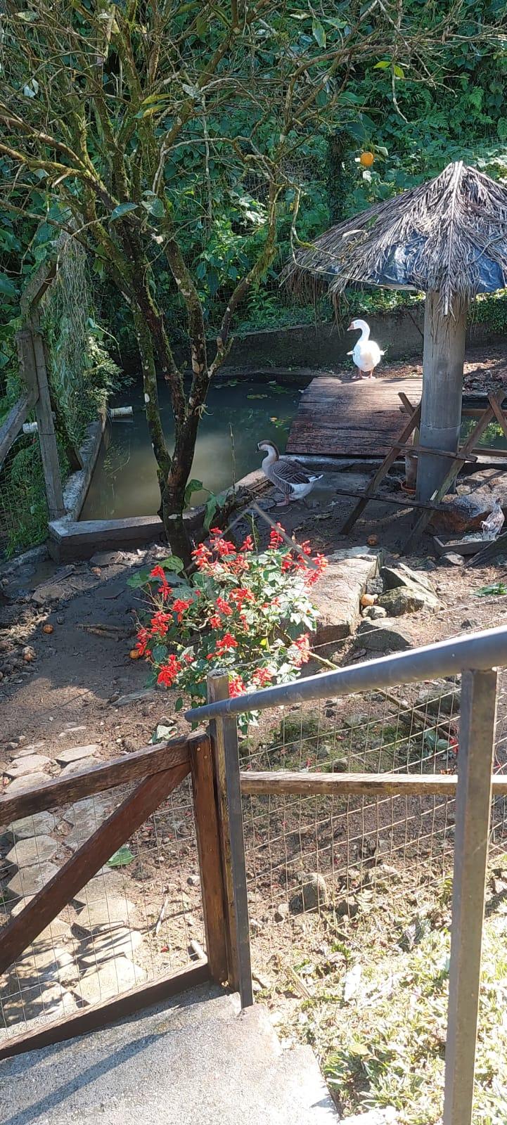 Casa à venda, TRES RIOS DO NORTE, JARAGUA DO SUL - SC