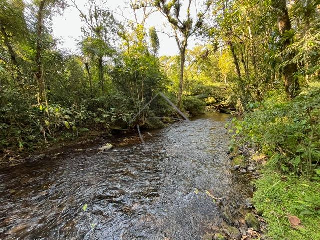 Chácara à venda, SANTA LUZIA, JARAGUA DO SUL - SC