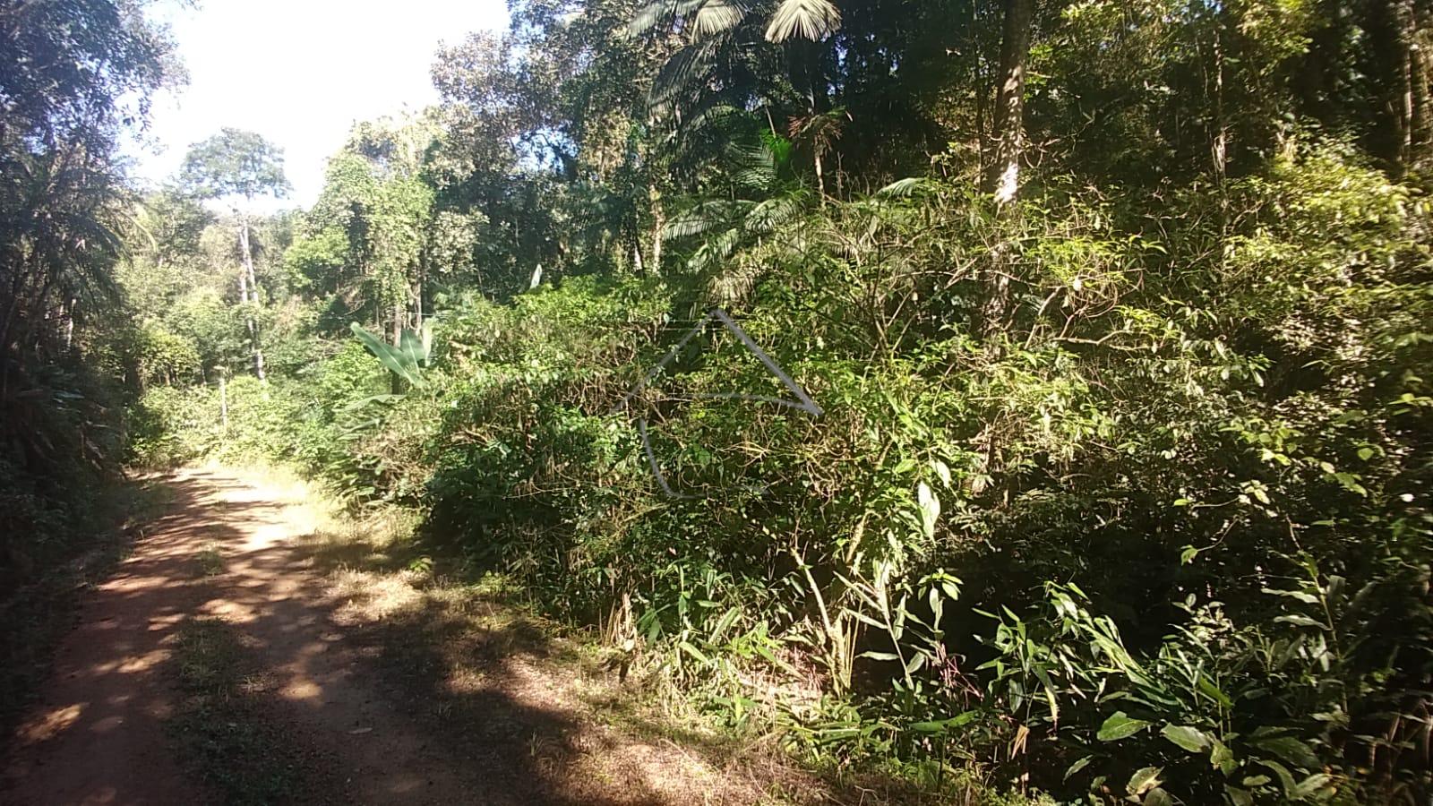 Chácara à Venda - Santa Luzia - Jaraguá do sul - SC