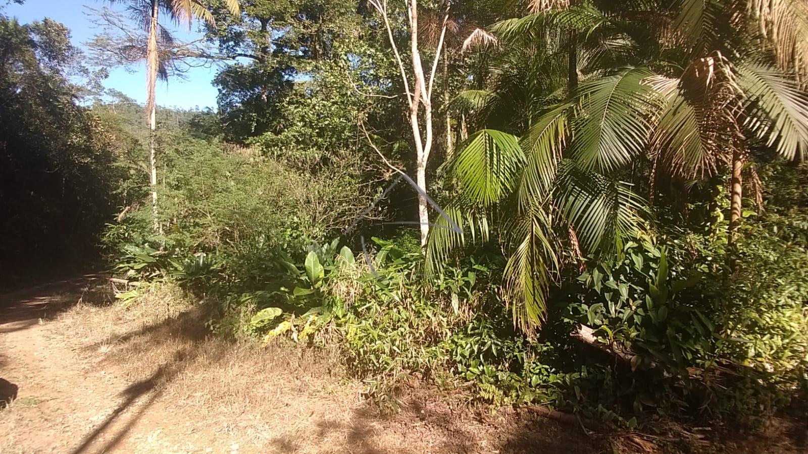 Chácara à Venda - Santa Luzia - Jaraguá do sul - SC