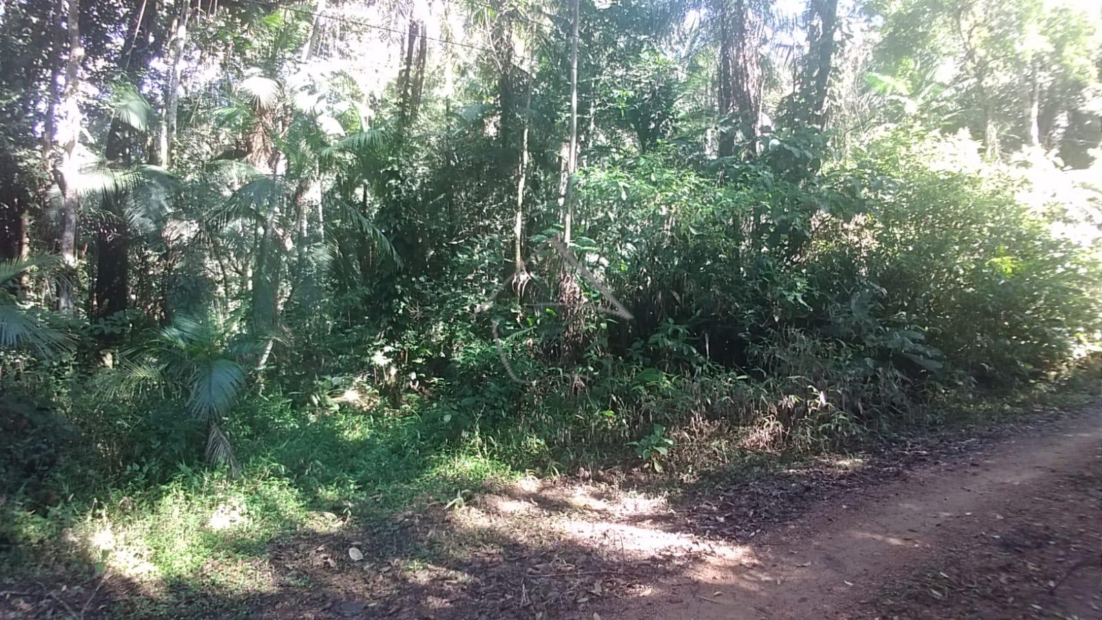 Chácara à Venda - Santa Luzia - Jaraguá do sul - SC