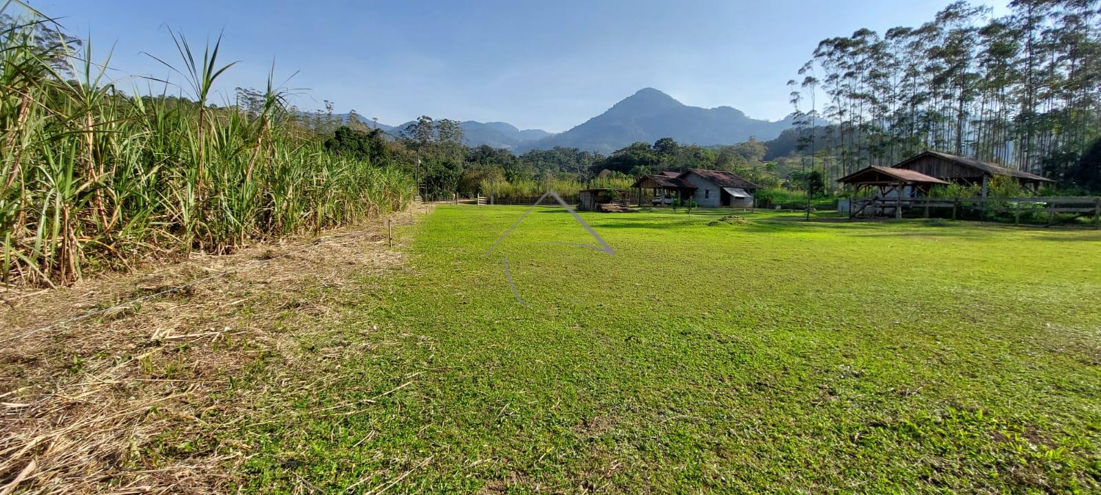 Ótima Chácara à venda,32.000m2 com casa e riacho, RIO DA LUZ, ...