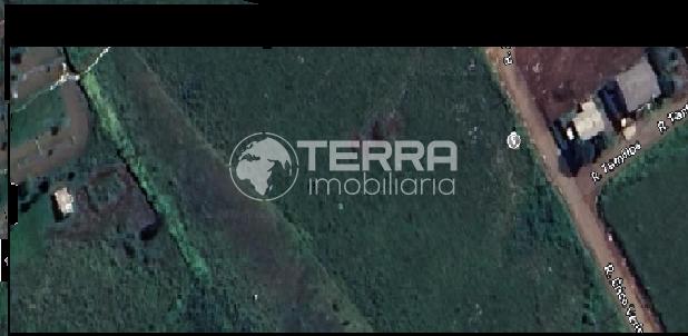 TERRENO PARA VENDA, LOCALIZADA NO BAIRRO VILA CARLI EM UMA REA INDUSTRIAL