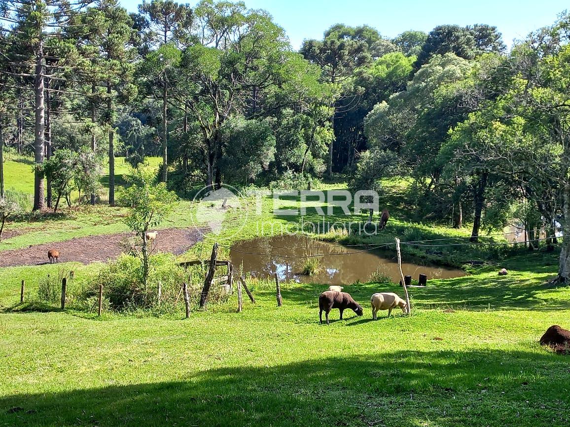 CHCARA COM 5 ALQUEIRES COM REA DE  LAZER PROX DE GUARAPUAVA